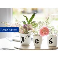 Sır Üstü Düzeltme Kalemi – 6 Standart Renk